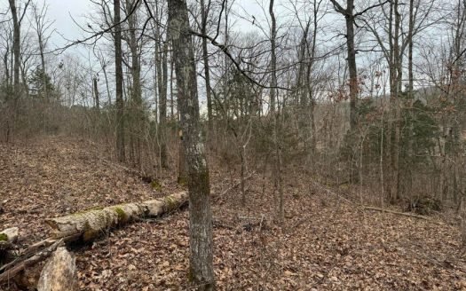 photo for a land for sale property for 41095-04480-Greeneville-Tennessee
