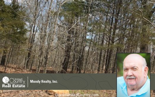 photo for a land for sale property for 03075-41946-Hardy-Arkansas