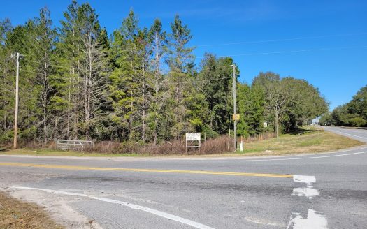 photo for a land for sale property for 09090-90005-High Springs-Florida