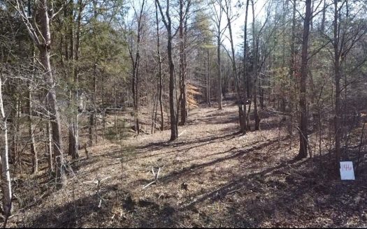 photo for a land for sale property for 41093-26162-Hohenwald-Tennessee