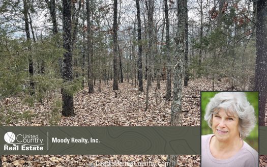 photo for a land for sale property for 03075-41945-Horseshoe Bend-Arkansas