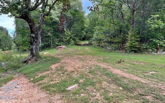 photo for a land for sale property for 41103-19750-Linden-Tennessee