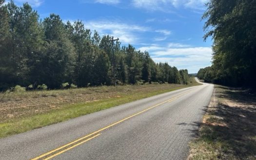 photo for a land for sale property for 01024-24009-Luverne-Alabama