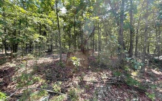photo for a land for sale property for 03050-45160-Mammoth Spring-Arkansas