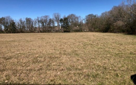 photo for a land for sale property for 17028-24003-Maurice-Louisiana