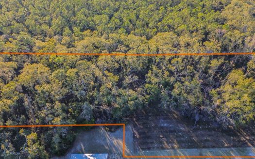 photo for a land for sale property for 09090-22342-Mayo-Florida