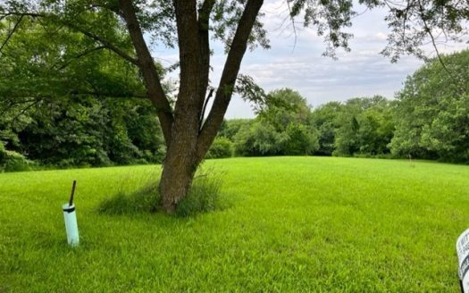 photo for a land for sale property for 24022-52500-Maysville-Missouri