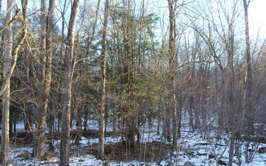 photo for a land for sale property for 31088-06404-Narrowsburg-New York