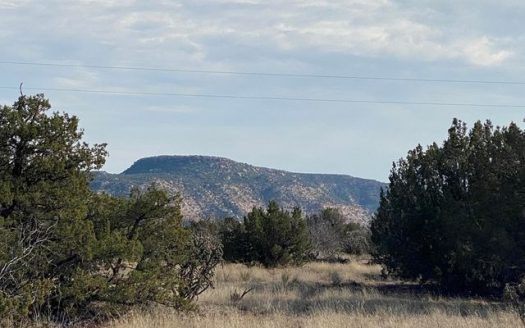 photo for a land for sale property for 30050-26429-Newkirk-New Mexico