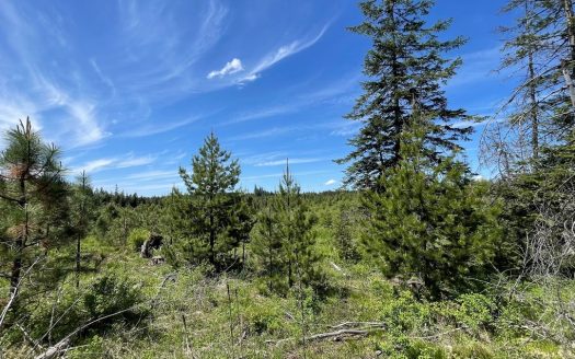 photo for a land for sale property for 11055-10352-Orofino-Idaho