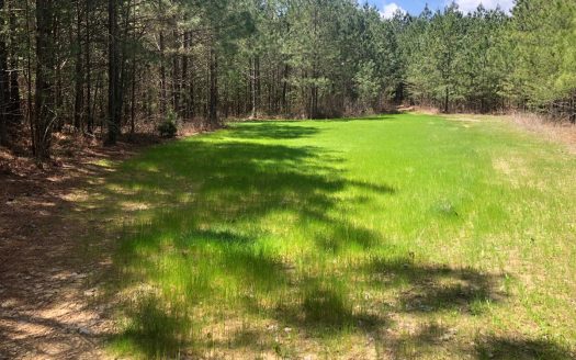 photo for a land for sale property for 41107-00068-Palmer-Tennessee