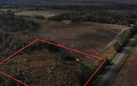 photo for a land for sale property for 01050-24001-Pansey-Alabama