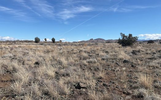 photo for a land for sale property for 02036-24051-Paulden-Arizona
