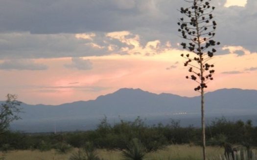 photo for a land for sale property for 02034-02717-Saint David-Arizona