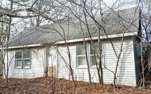 photo for a land for sale property for 24097-07528-Salem-Missouri