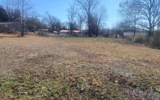 photo for a land for sale property for 41060-05298-Savannah-Tennessee