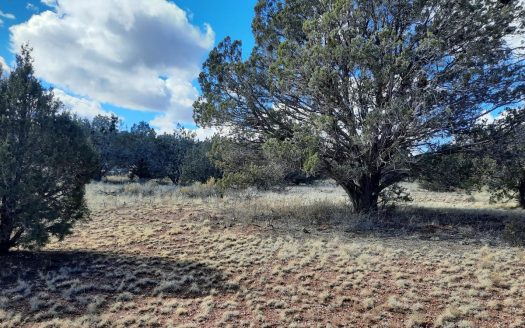 photo for a land for sale property for 02036-24009-Seligman-Arizona