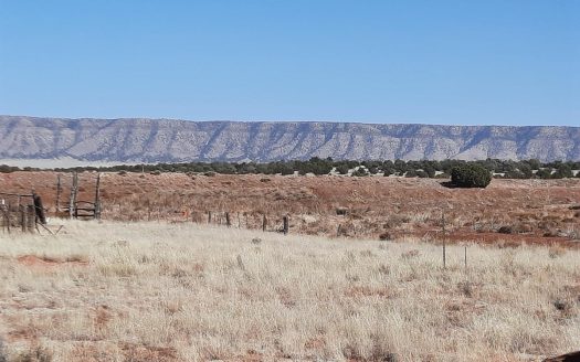 photo for a land for sale property for 02036-24010-Seligman-Arizona
