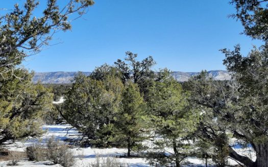 photo for a land for sale property for 02036-24014-Seligman-Arizona
