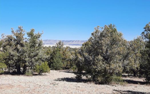photo for a land for sale property for 02036-24016-Seligman-Arizona