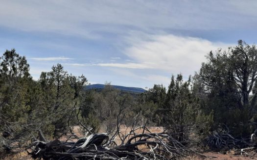 photo for a land for sale property for 02036-24019-Seligman-Arizona