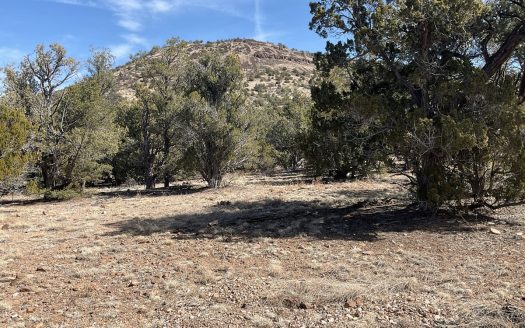 photo for a land for sale property for 02036-24052-Seligman-Arizona