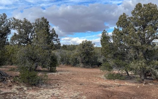 photo for a land for sale property for 02036-24103-Seligman-Arizona