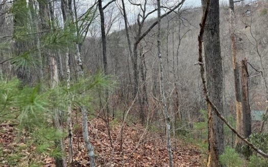 photo for a land for sale property for 41095-04473-Sevierville-Tennessee