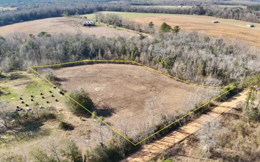 photo for a land for sale property for 01030-40537-Slocomb-Alabama