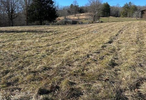 photo for a land for sale property for 41095-04475-Sneedville-Tennessee