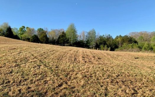 photo for a land for sale property for 41112-00011-Sparta-Tennessee