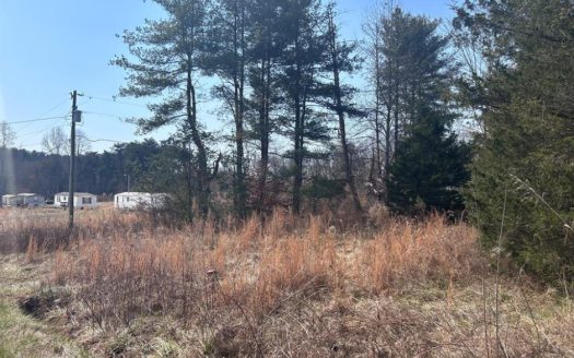 photo for a land for sale property for 32121-00663-Taylorsville-North Carolina