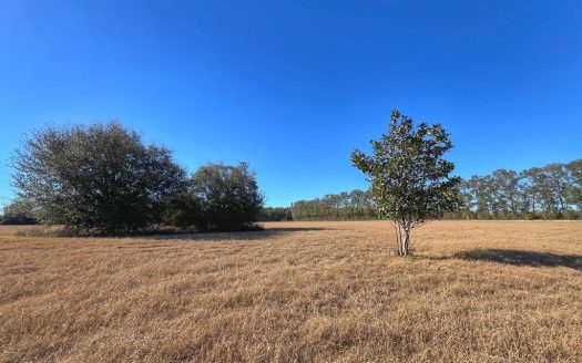 photo for a land for sale property for 09090-89984-Trenton-Florida