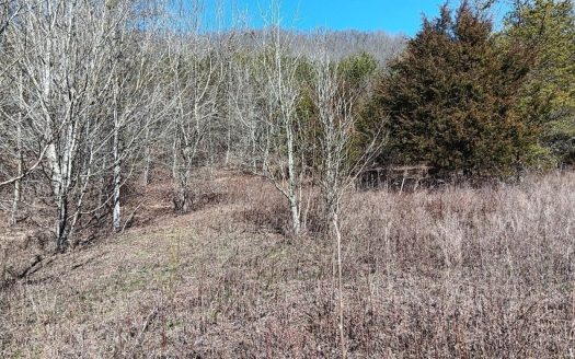 photo for a land for sale property for 41095-04485-Washburn-Tennessee