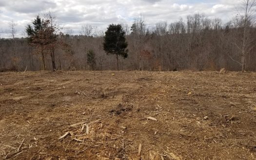 photo for a land for sale property for 41099-26250-Waynesboro-Tennessee