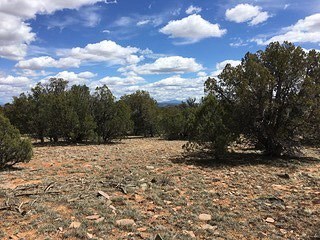 photo for a land for sale property for 02036-23223-Williams-Arizona