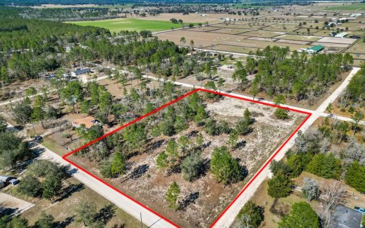 photo for a land for sale property for 09090-89990-Williston-Florida