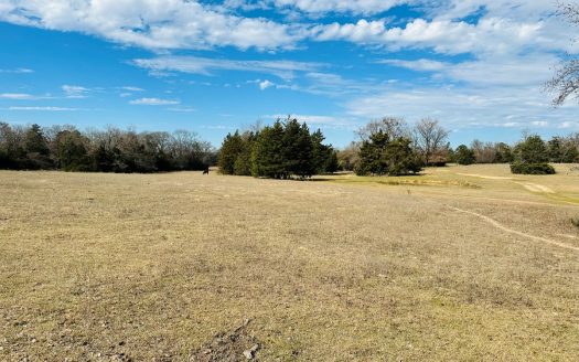 photo for a land for sale property for 42055-03295-Winnsboro-Texas