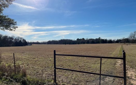 photo for a land for sale property for 42055-03294-Winnsboro-Texas