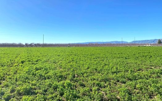photo for a land for sale property for 04030-11347-Winters-California