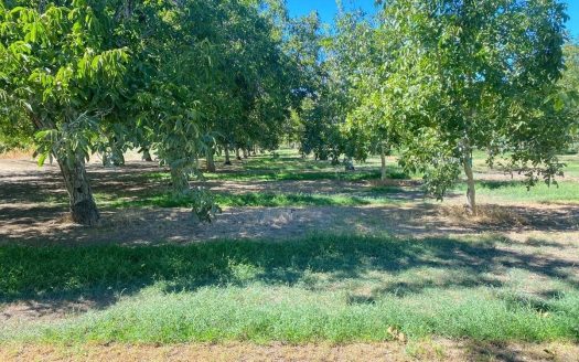 photo for a land for sale property for 04030-11374-Winters-California