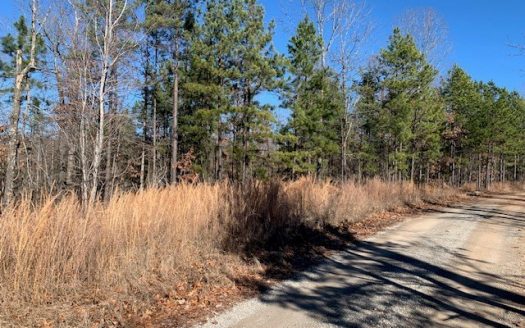 photo for a land for sale property for 03098-71590-Yellville-Arkansas