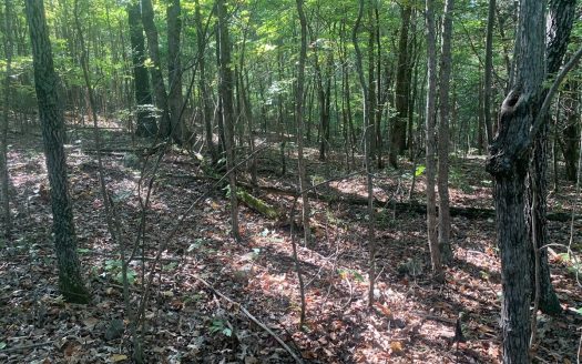 photo for a land for sale property for 03098-71650-Yellville-Arkansas