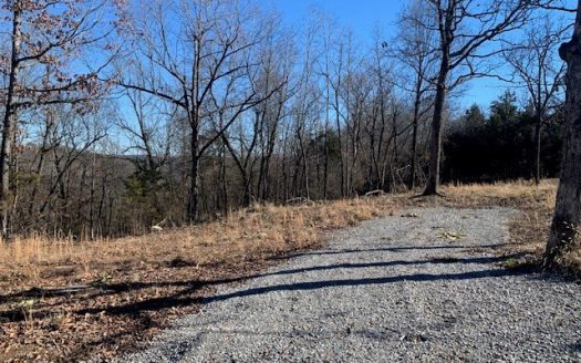 photo for a land for sale property for 03098-71570-Yellville-Arkansas