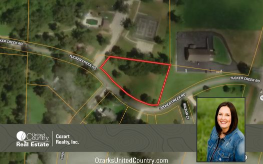 photo for a land for sale property for 24078-92970-Alton-Missouri