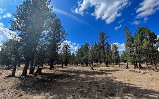 photo for a land for sale property for 04097-24009-Alturas-California
