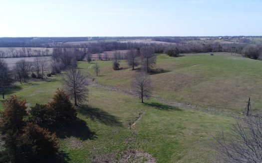 photo for a land for sale property for 24066-24014-Arbela-Missouri