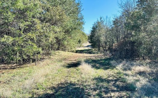 photo for a land for sale property for 03061-61220-Ash Flat-Arkansas