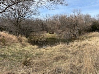 photo for a land for sale property for 24256-41902-Attica-Kansas