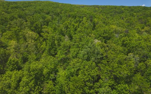photo for a land for sale property for 41095-04499-Bean Station-Tennessee